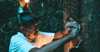 Histórias de seringueiro: os conflitos da floresta e o legado de Chico Mendes
