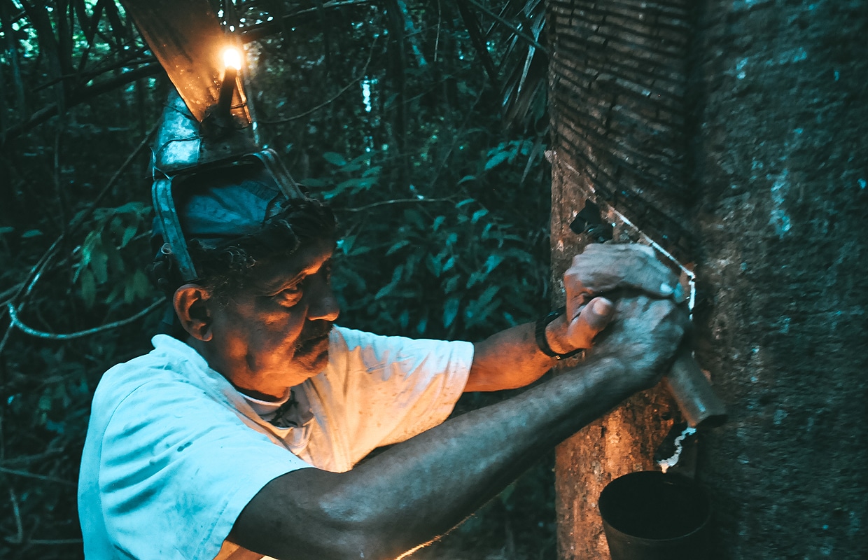 Vida de seringueiro: os conflitos da floresta e o legado de Chico Mendes
