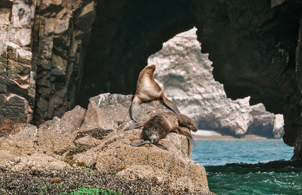 Viagem ao Peru