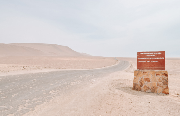 Deserto de Paracas, no Peru