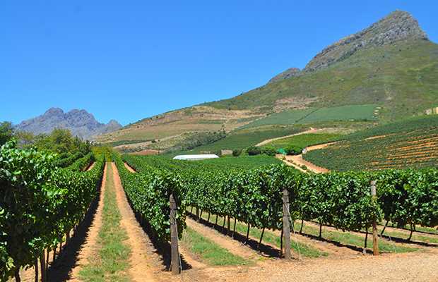 Planeje sua viagem para Cape Town