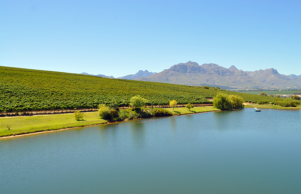 O passeio pelas vinícolas de Cape Town
