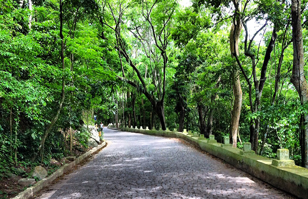 Visitar o Convento da Penha