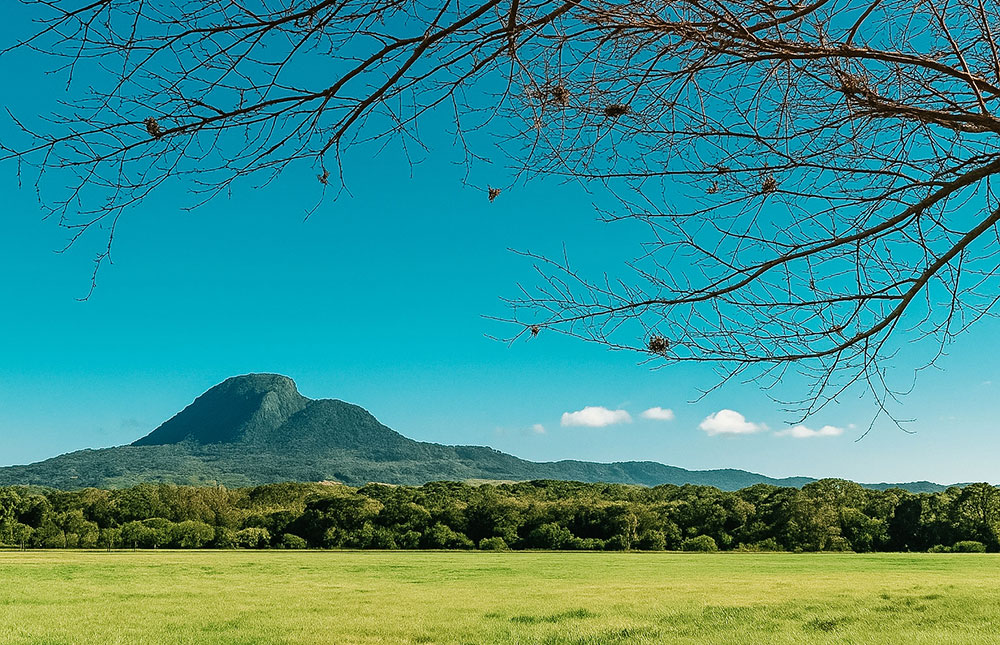 O que fazer em Santa Cruz do Sul