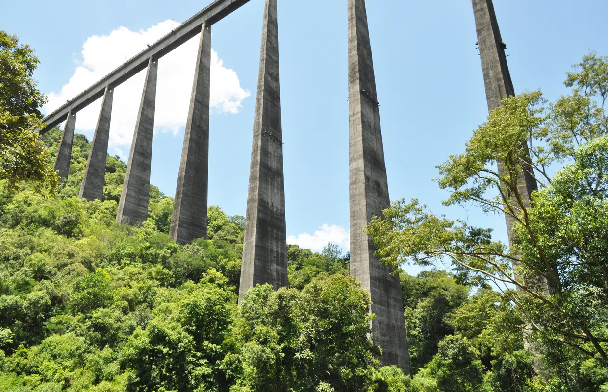 Brasil está a um ponto do caminho mais seguro para a final da