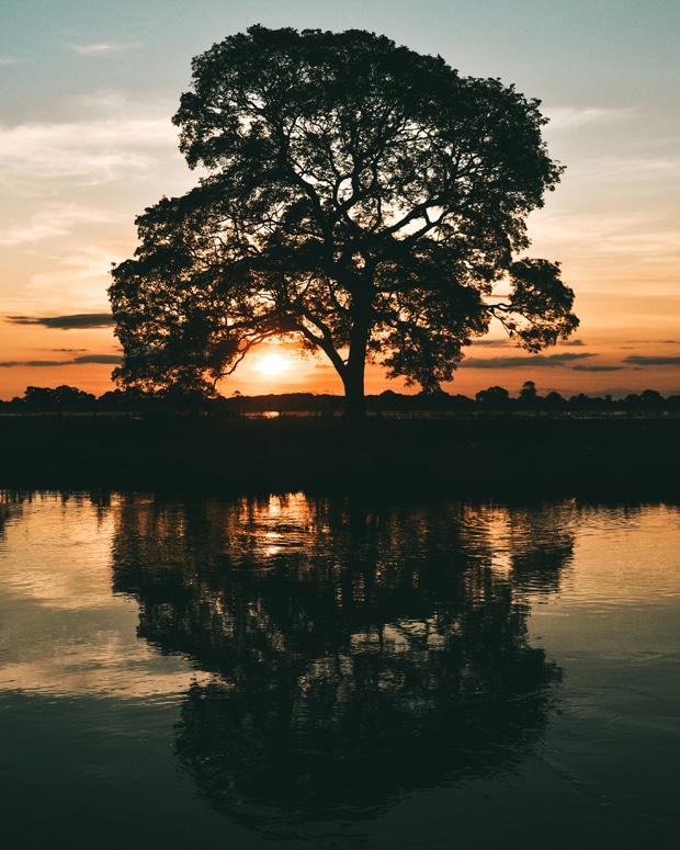 Transpantaneira: a estrada que cruza o Pantanal do Mato Grosso