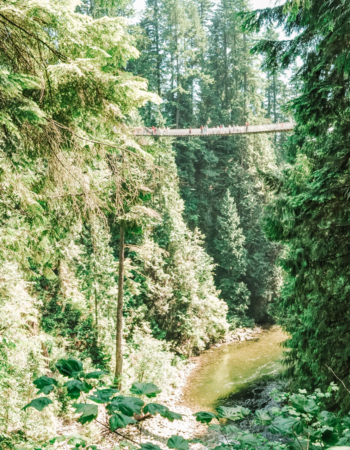 A incrível ponte suspensa do Capilano River