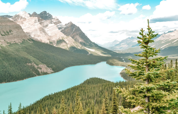 Rocky Mountains de carro