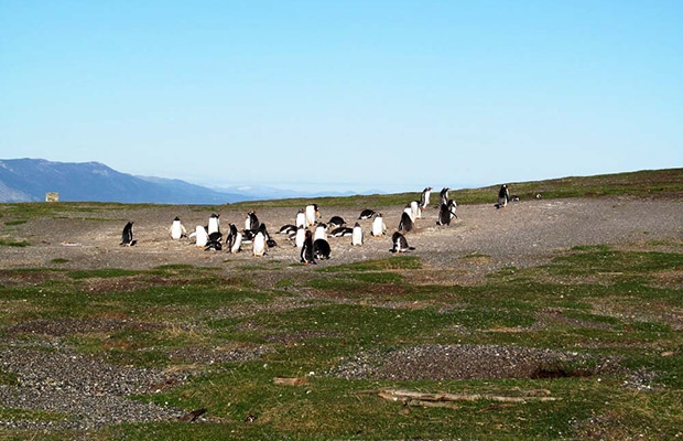 O que ver e fazer em Ushuaia