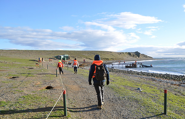 Punta Arenas: o passeio na Isla Magdalena