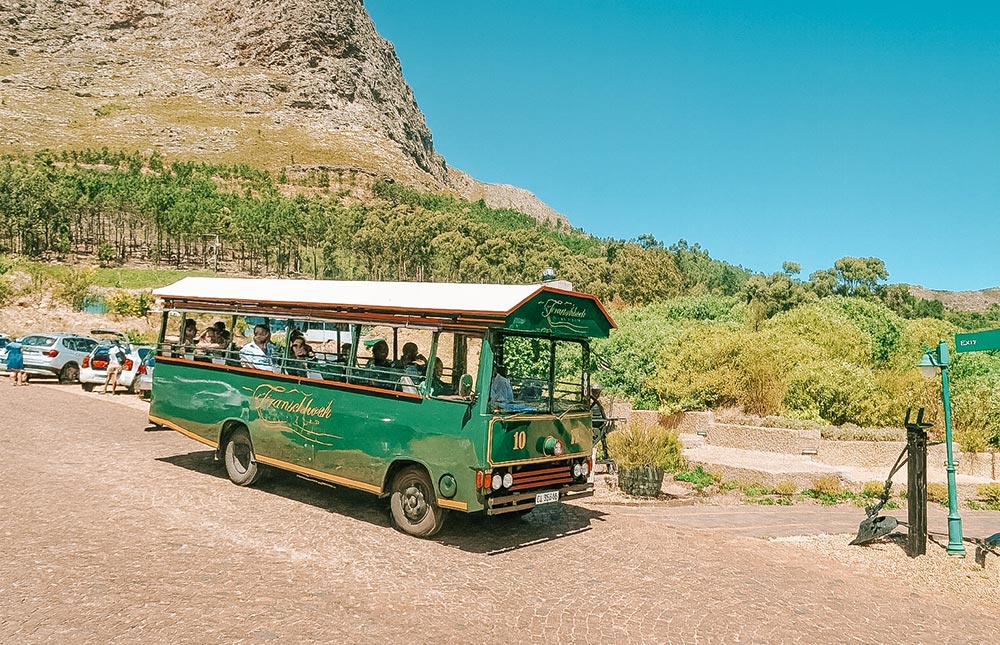 roteiro de vinícolas na África do Sul