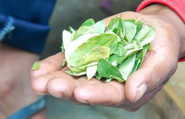 Comidas da Bolívia