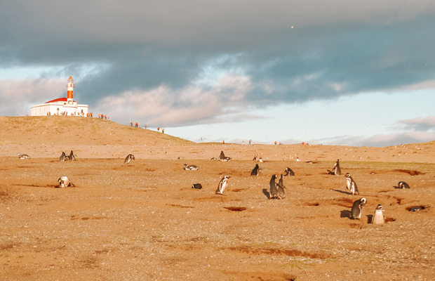 Isla Magdalena