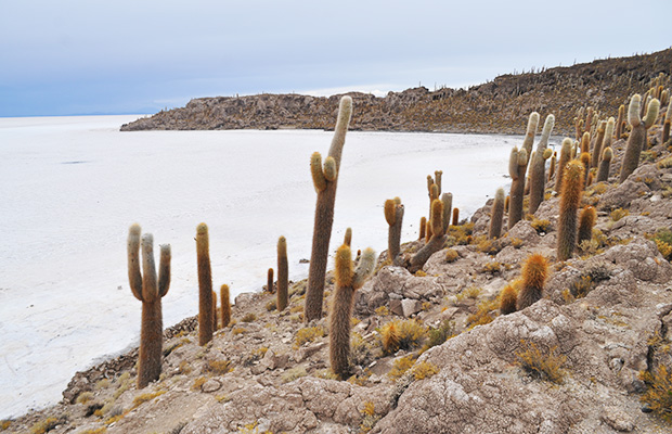 Viagem de três dias pelo Salar de Uyuni