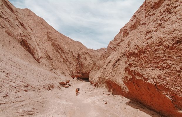 De bicicleta no Atacama