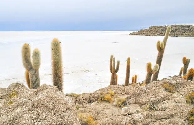 Três dias pelo Salar de Uyuni