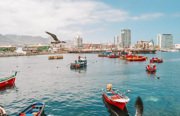 La Caleta de Antofagasta