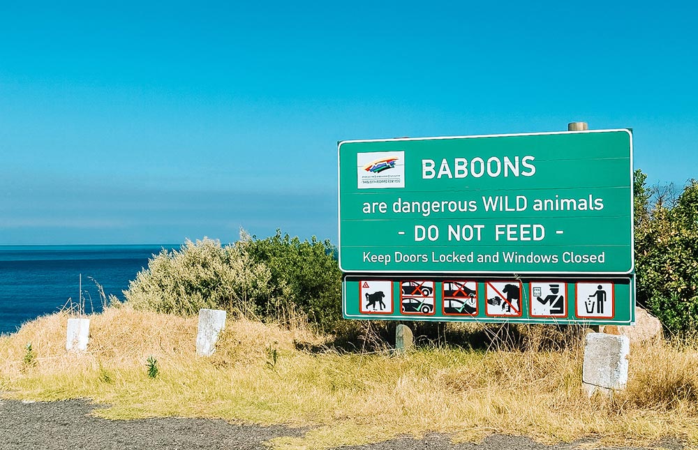 Cabo da Boa Esperança