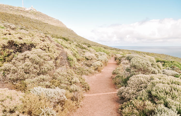 Cabo da Boa Esperança