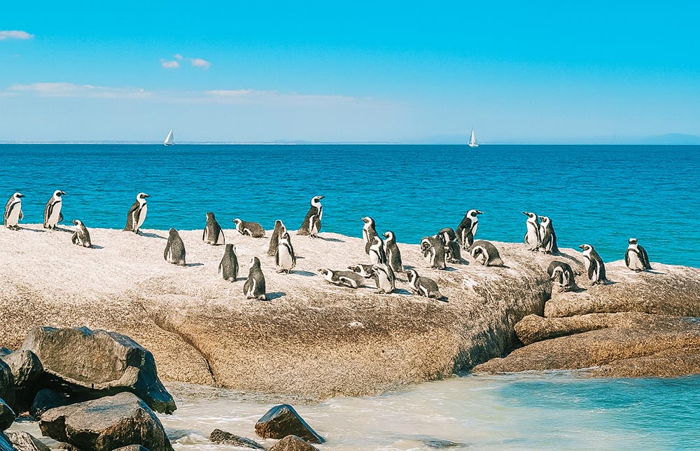 bate-volta saindo de Cape Town