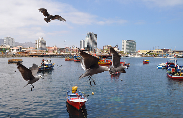 O que fazer em Antofagasta
