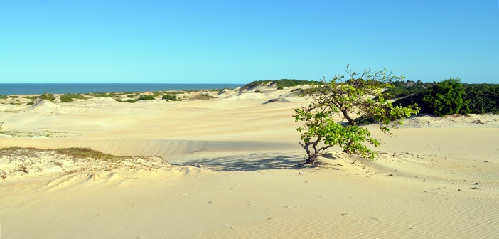 O encantamento das dunas de Itaúnas