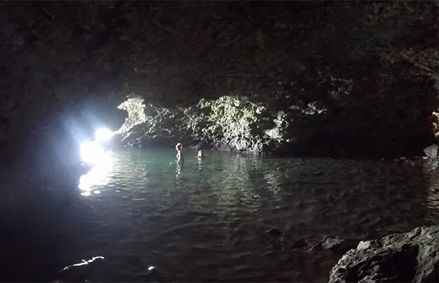 Animal Flower Cave