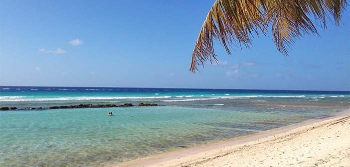 Cinco dicas do que fazer em Barbados