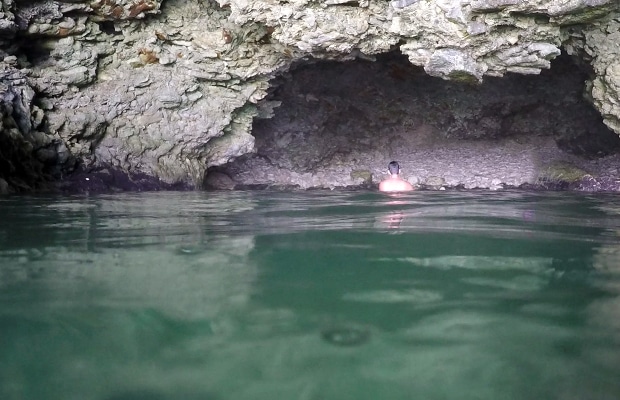 Animal Flower Cave