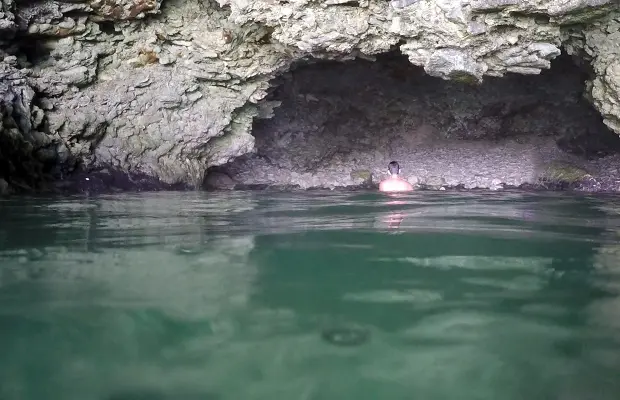 Animal Flower Cave