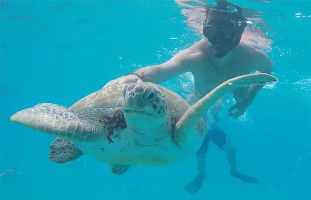 O imperdível passeio de catamarã em Barbados