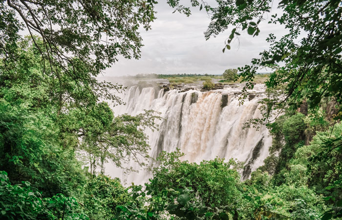 Safári no sul da África