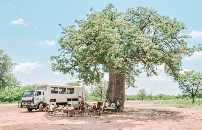 Safári no sul da África