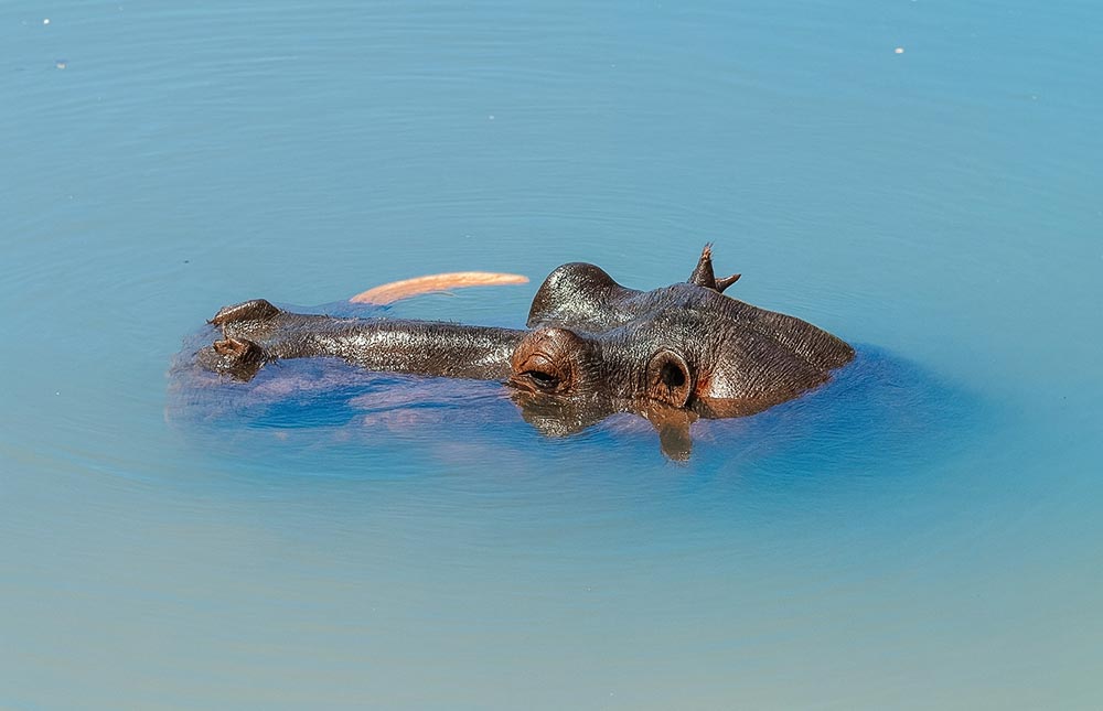 Kruger National Park