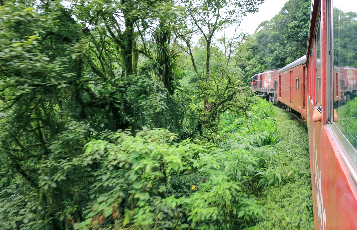 Curitiba: a incrível viagem de trem para Morretes