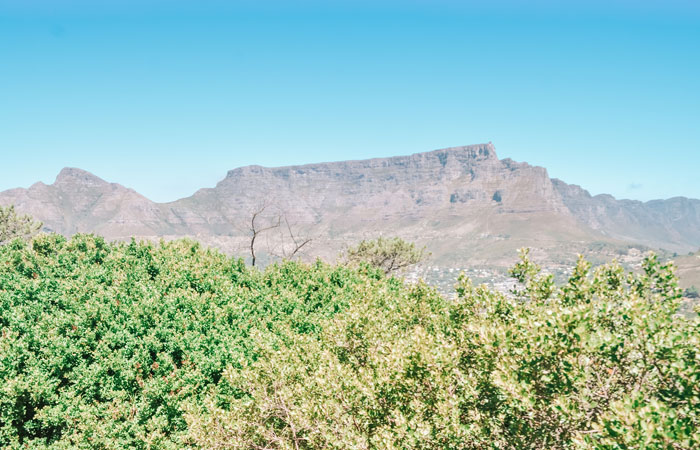 Table Mountain