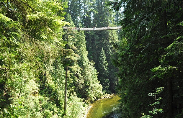 Dez coisas para fazer em Vancouver e arredores