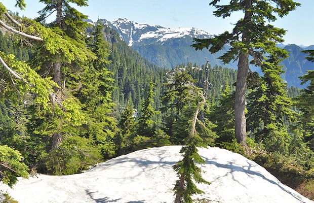 Dez coisas para fazer em Vancouver e arredores