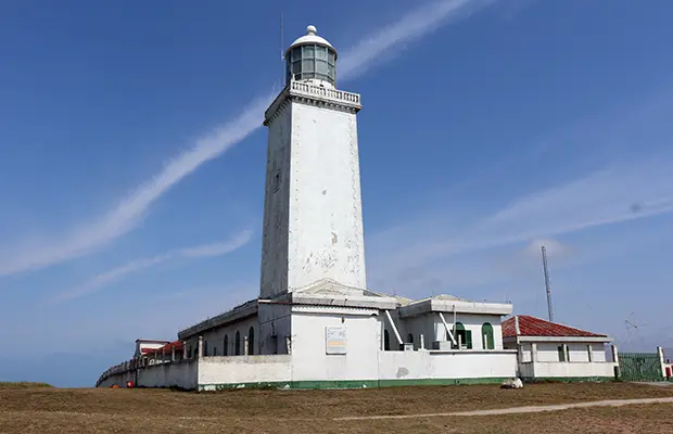 O avistamento de baleias em Santa Catarina