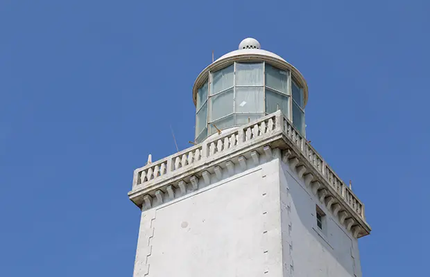 O avistamento de baleias em Santa Catarina