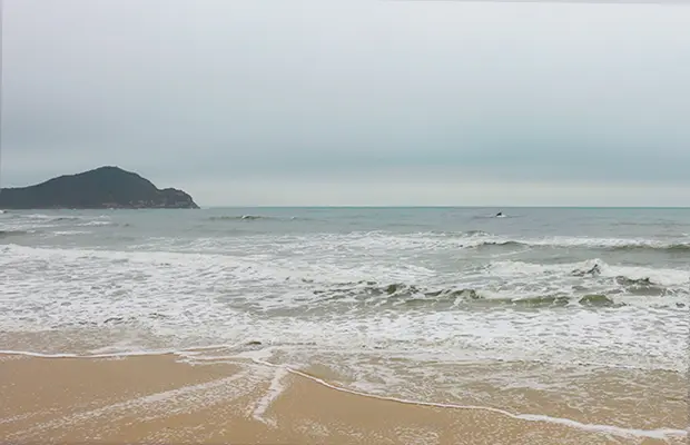 O avistamento de baleias em Santa Catarina