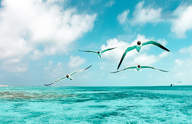 Quando ir a Cayo Largo