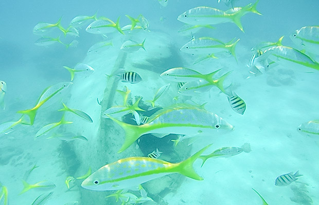 Quando ir a Cayo Largo