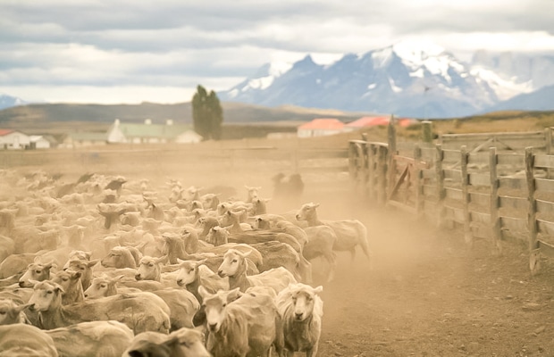 Onde ficar em Torres del Paine