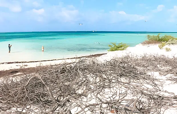 Um dia em Cayo Largo