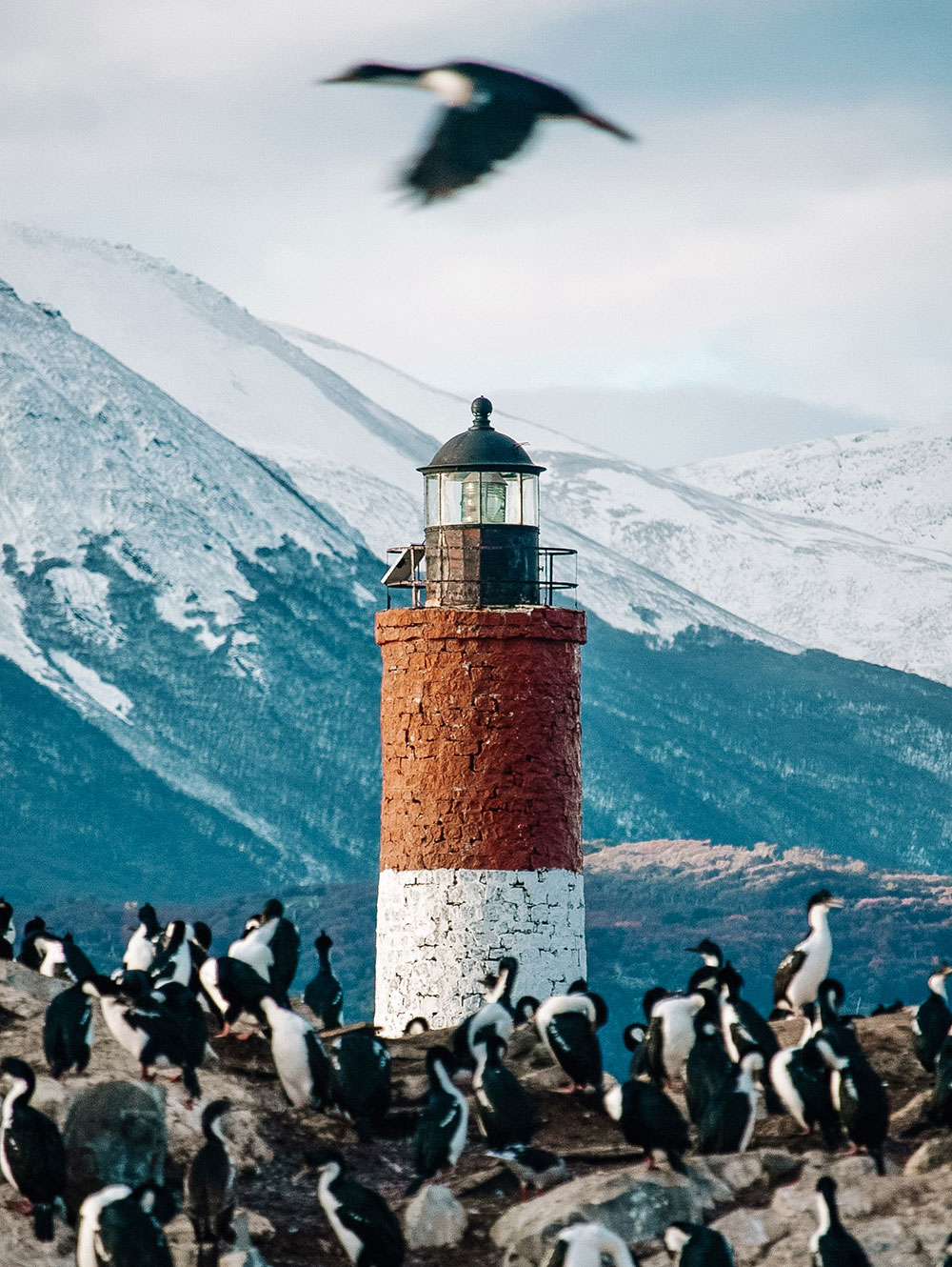 O que fazer em Ushuaia