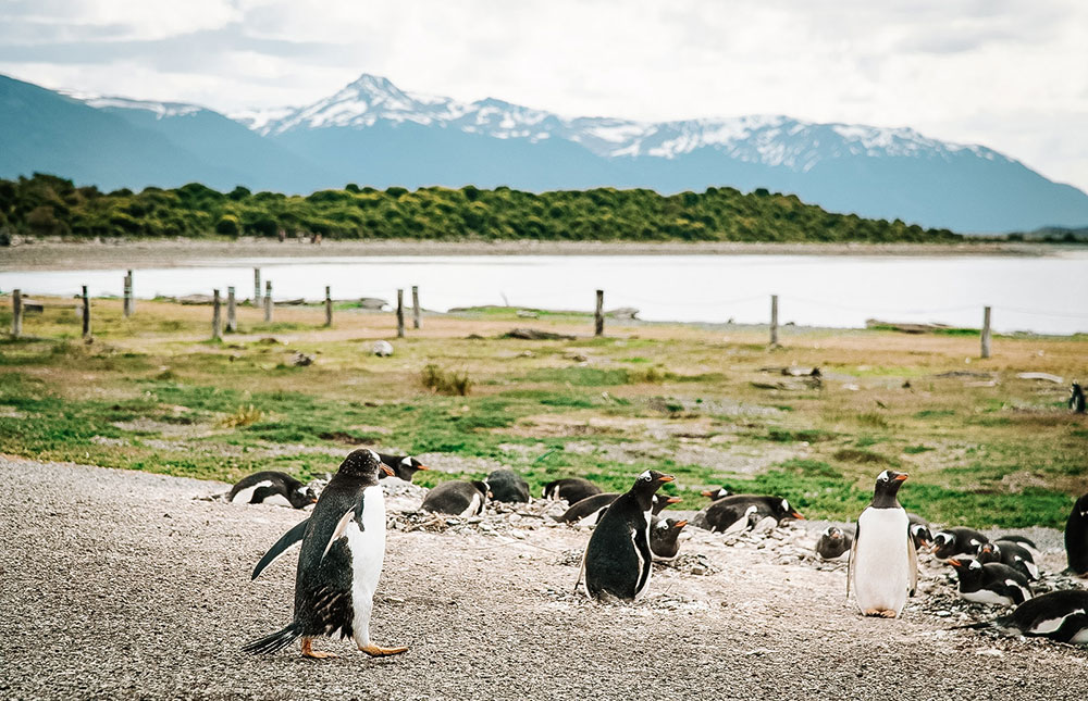 O que fazer em Ushuaia