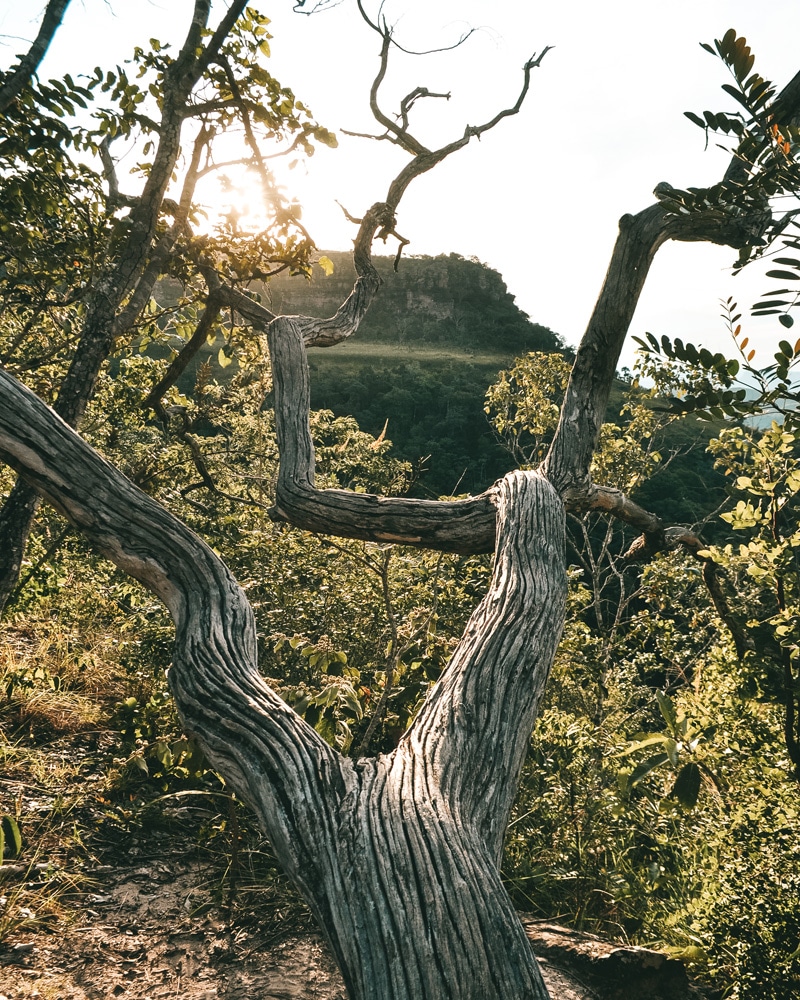 Quando ir à Chapada dos Guimarães