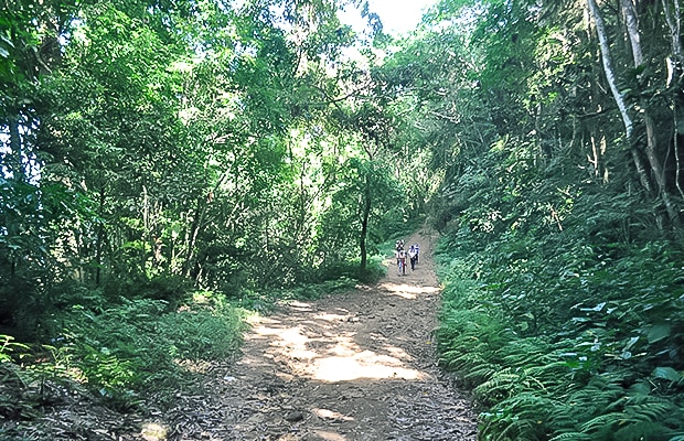 Como chegar a Ilhabela