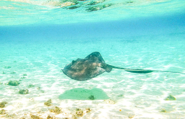 Isla Acuario San Andrés